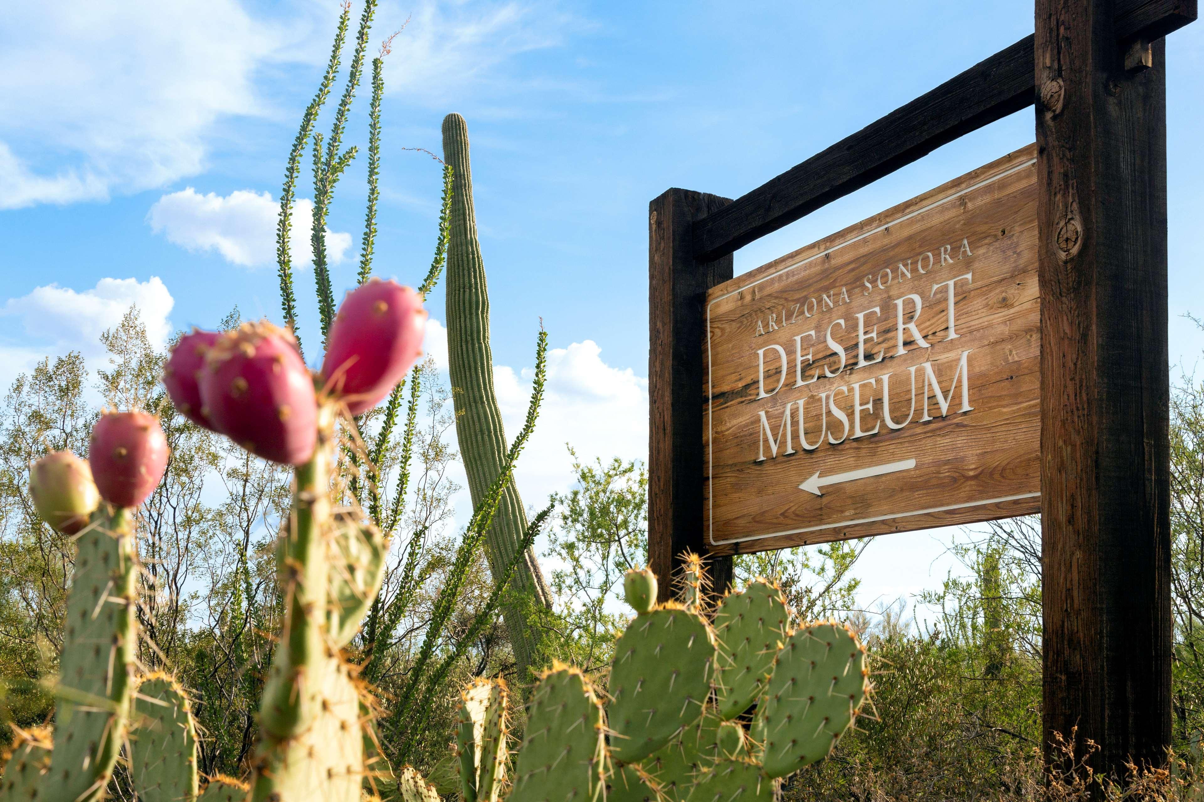 Hyatt Place Tucson Central Екстер'єр фото